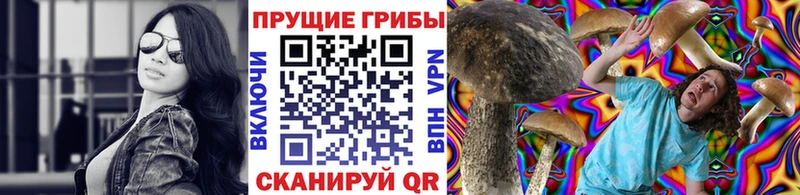 Псилоцибиновые грибы прущие грибы  даркнет сайт  Плавск 